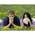 Allergy Reviews