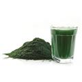 Lúgosító ételek - Chlorella alga