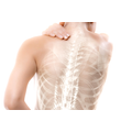 Osteoporosis Reviews