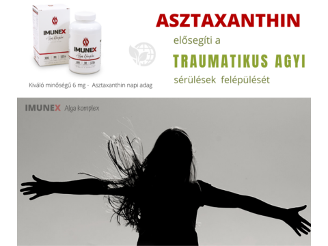 Asztaxanthin elősegíti a traumatikus agyi sérülések felépülését 